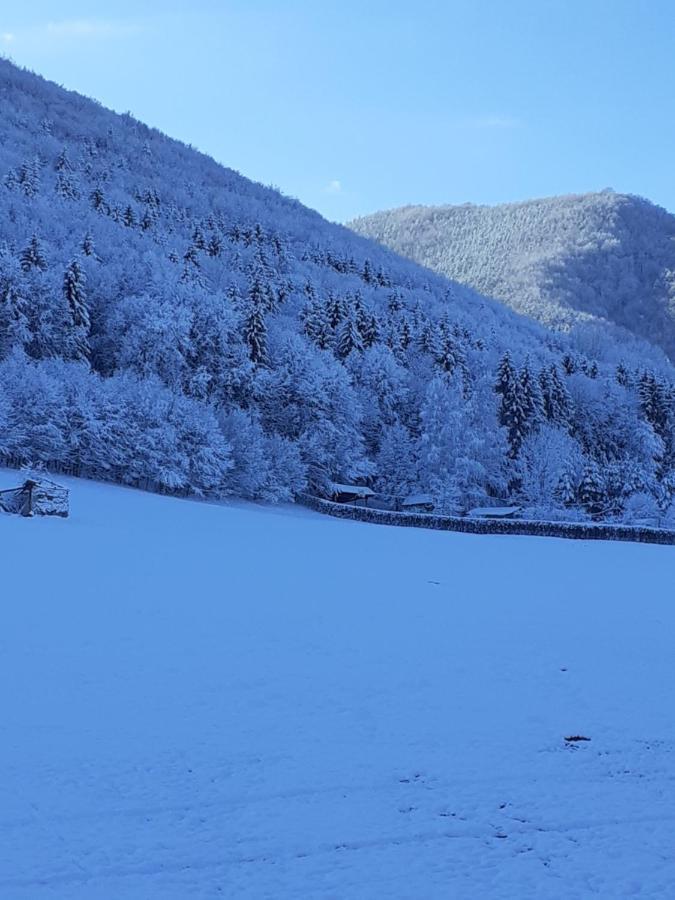 Pensiunea Natura Sadu Sibiu Esterno foto