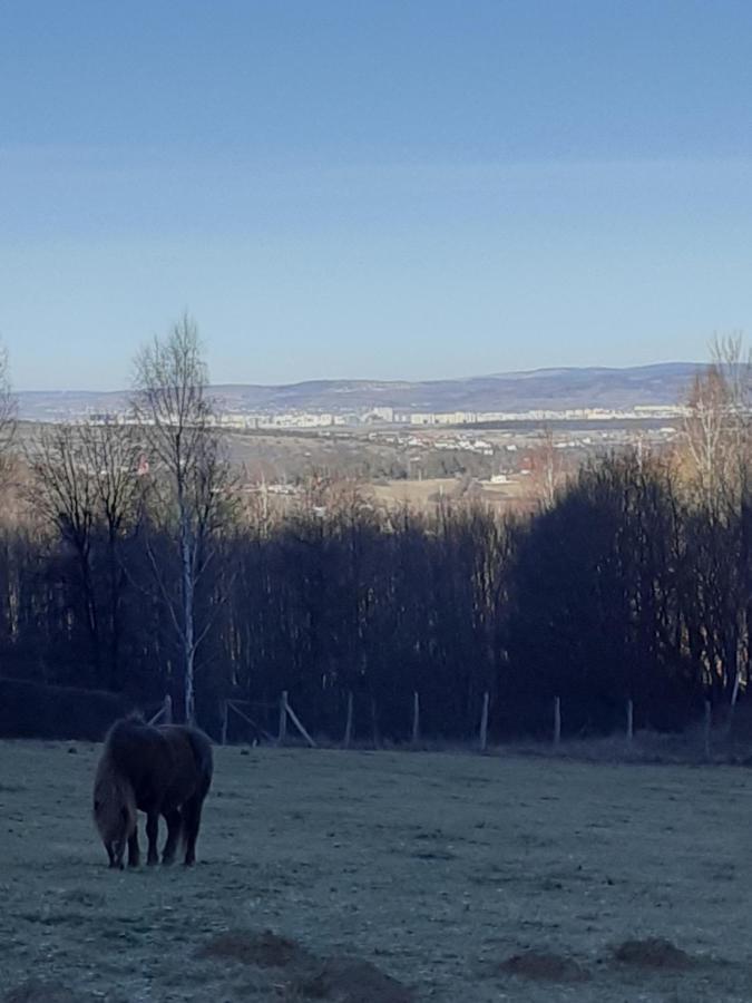 Pensiunea Natura Sadu Sibiu Esterno foto