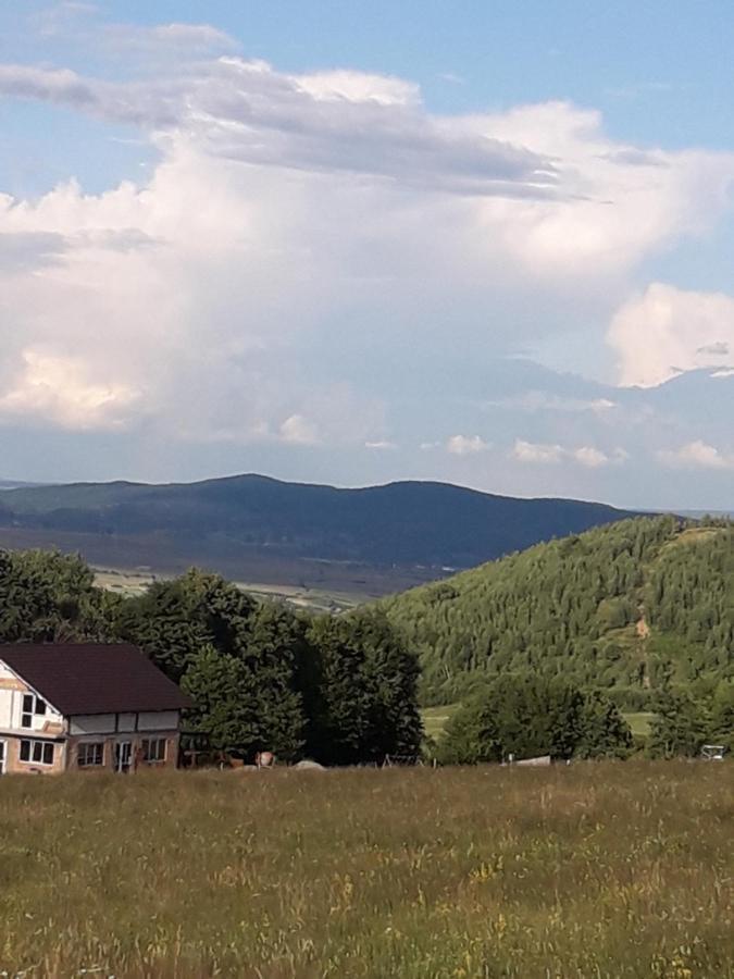 Pensiunea Natura Sadu Sibiu Esterno foto