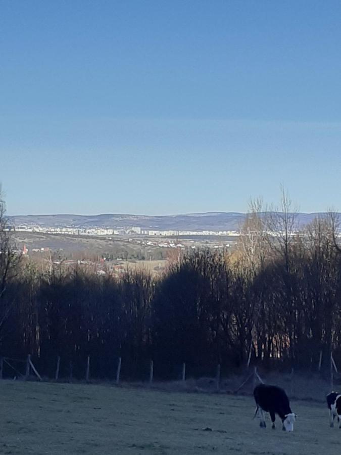 Pensiunea Natura Sadu Sibiu Esterno foto