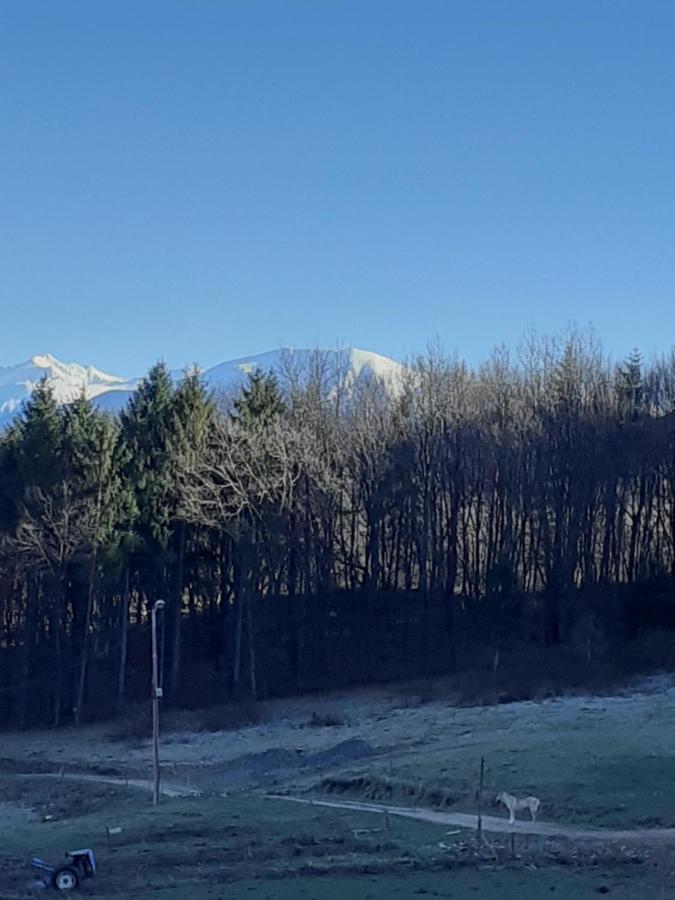 Pensiunea Natura Sadu Sibiu Esterno foto