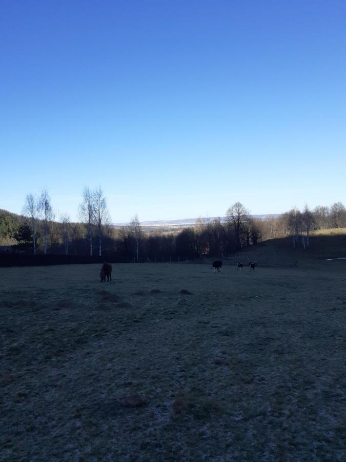Pensiunea Natura Sadu Sibiu Esterno foto