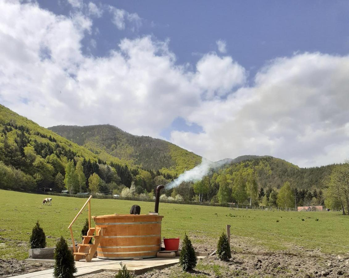 Pensiunea Natura Sadu Sibiu Esterno foto