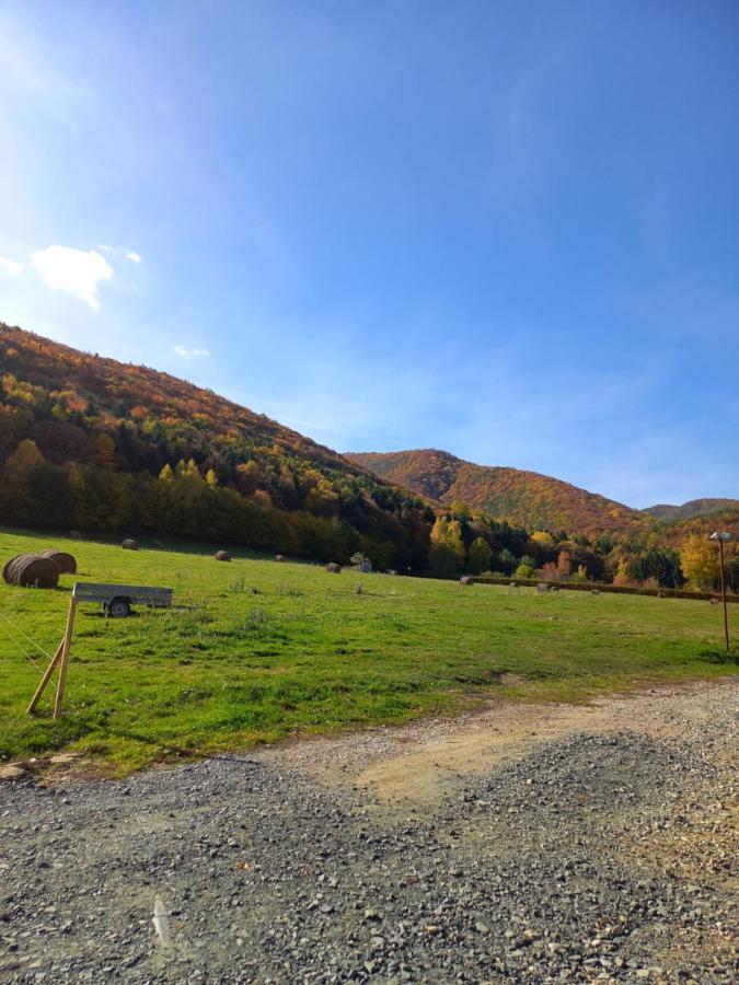 Pensiunea Natura Sadu Sibiu Esterno foto