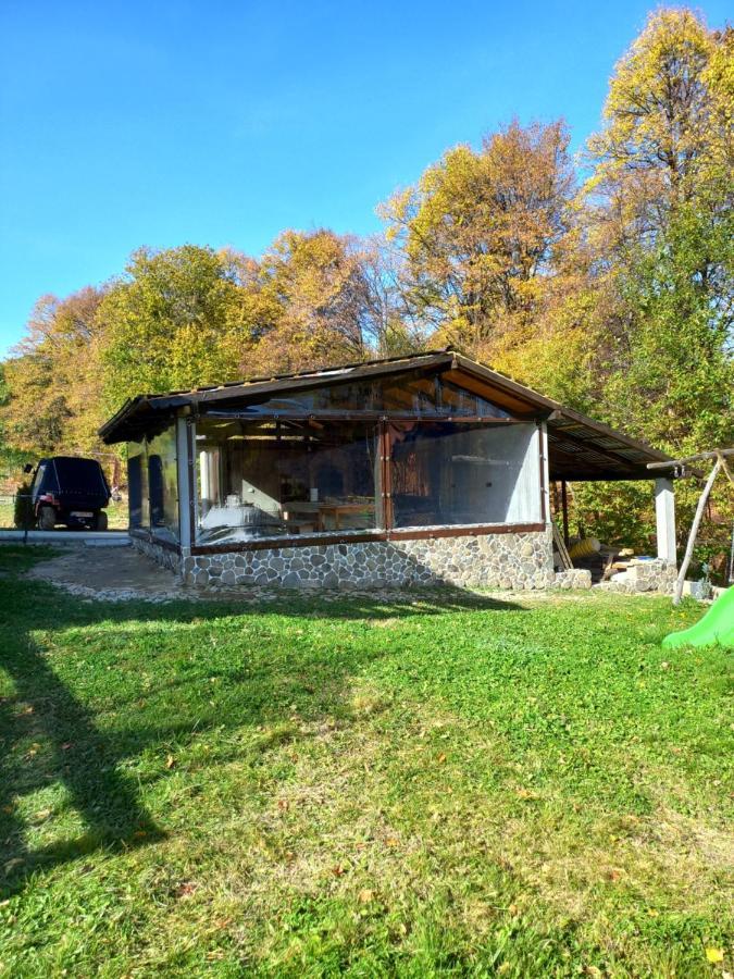 Pensiunea Natura Sadu Sibiu Esterno foto