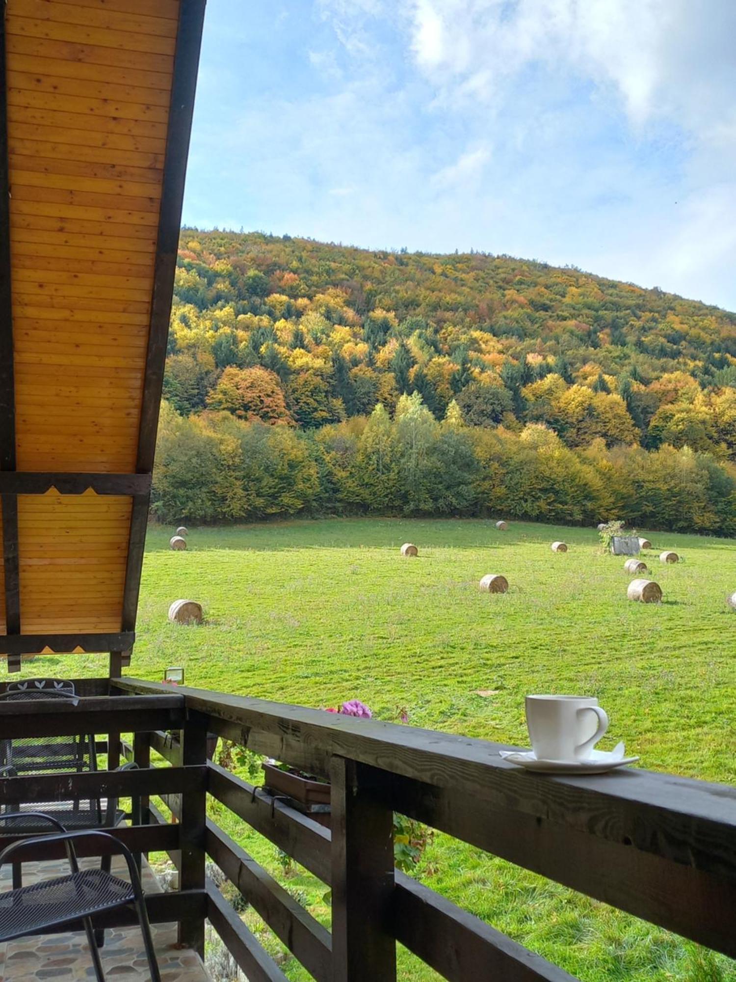 Pensiunea Natura Sadu Sibiu Esterno foto