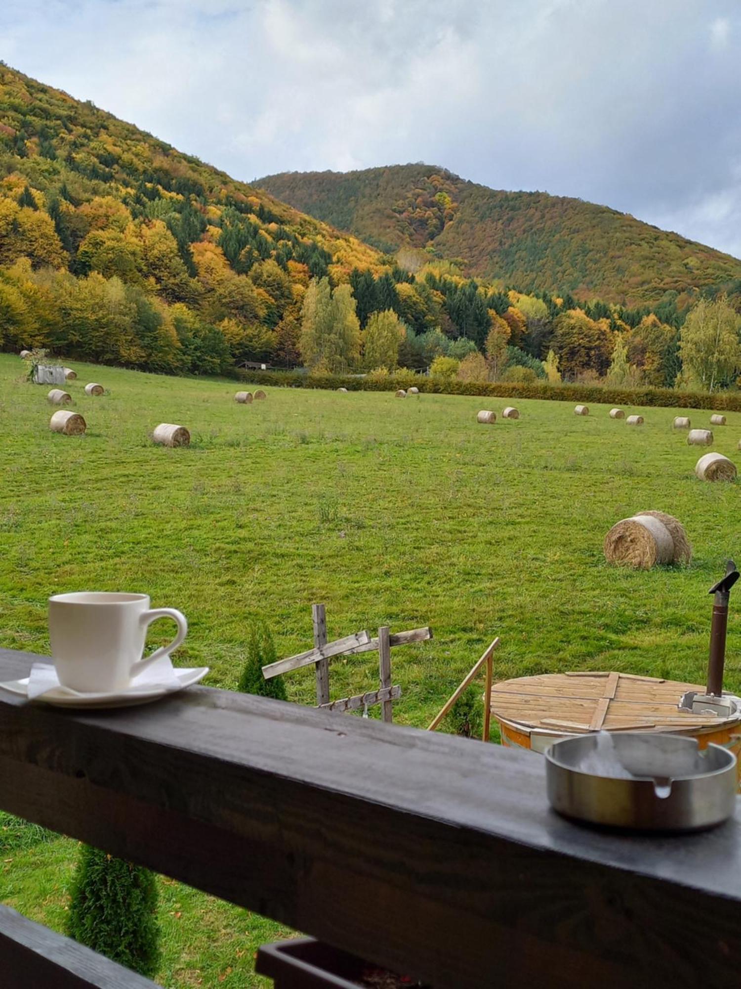 Pensiunea Natura Sadu Sibiu Esterno foto