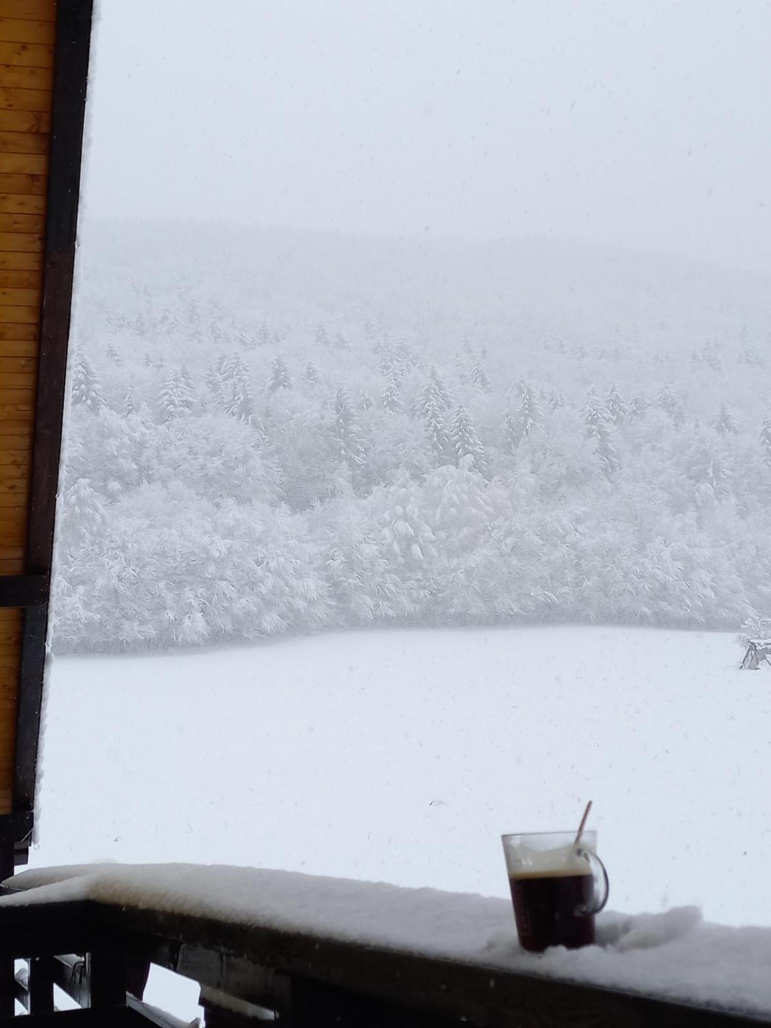 Pensiunea Natura Sadu Sibiu Esterno foto