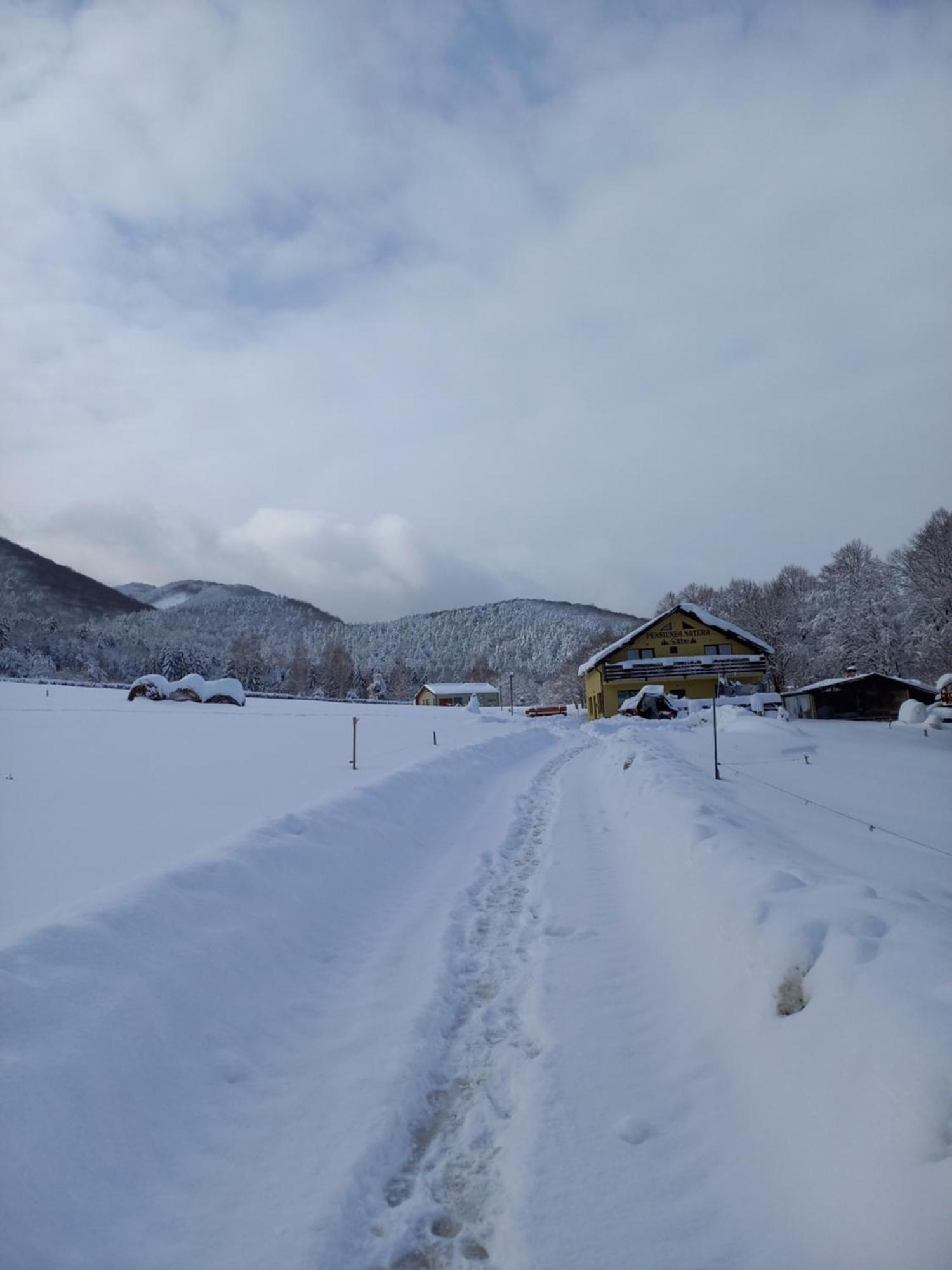 Pensiunea Natura Sadu Sibiu Esterno foto