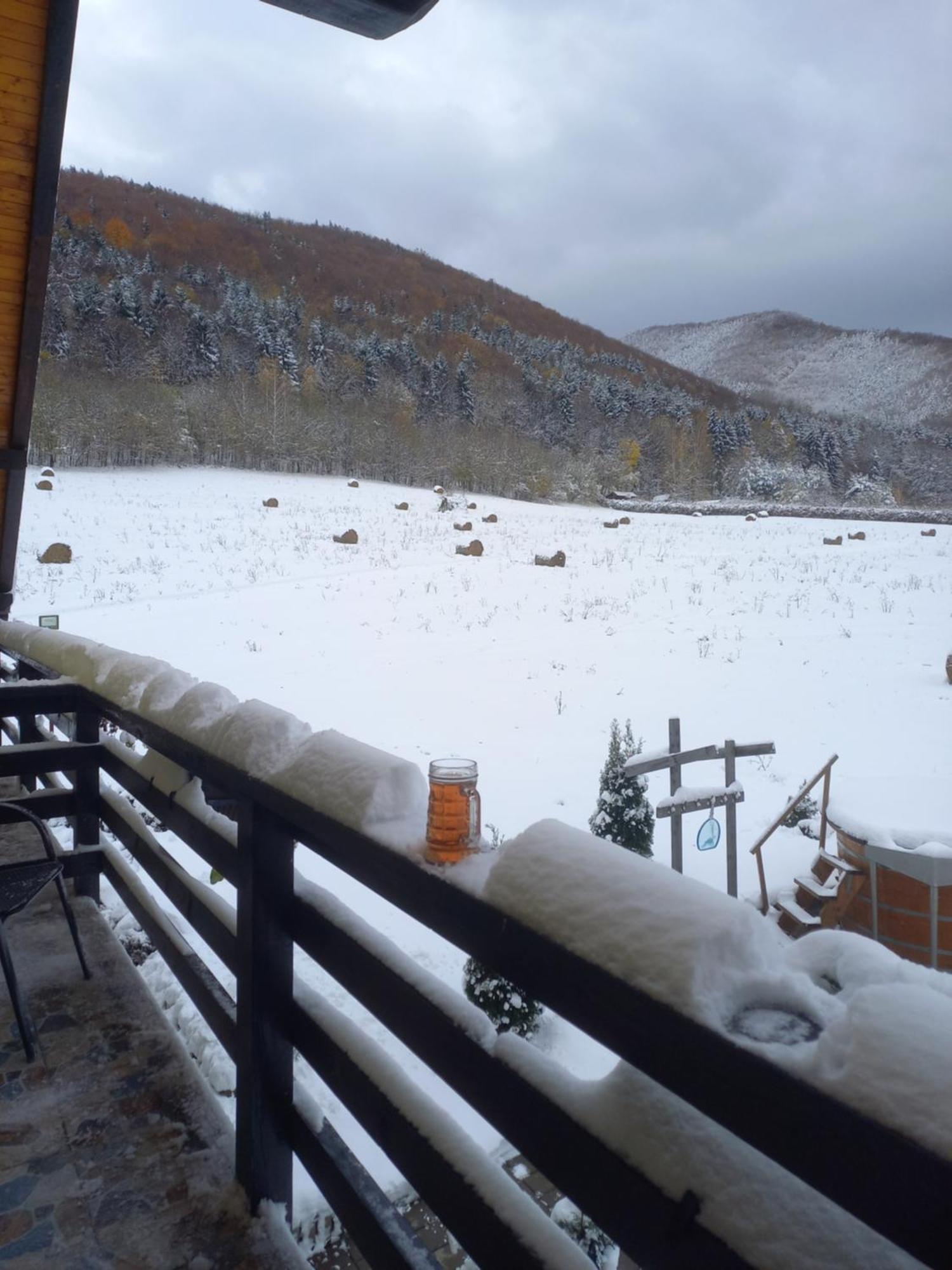 Pensiunea Natura Sadu Sibiu Esterno foto